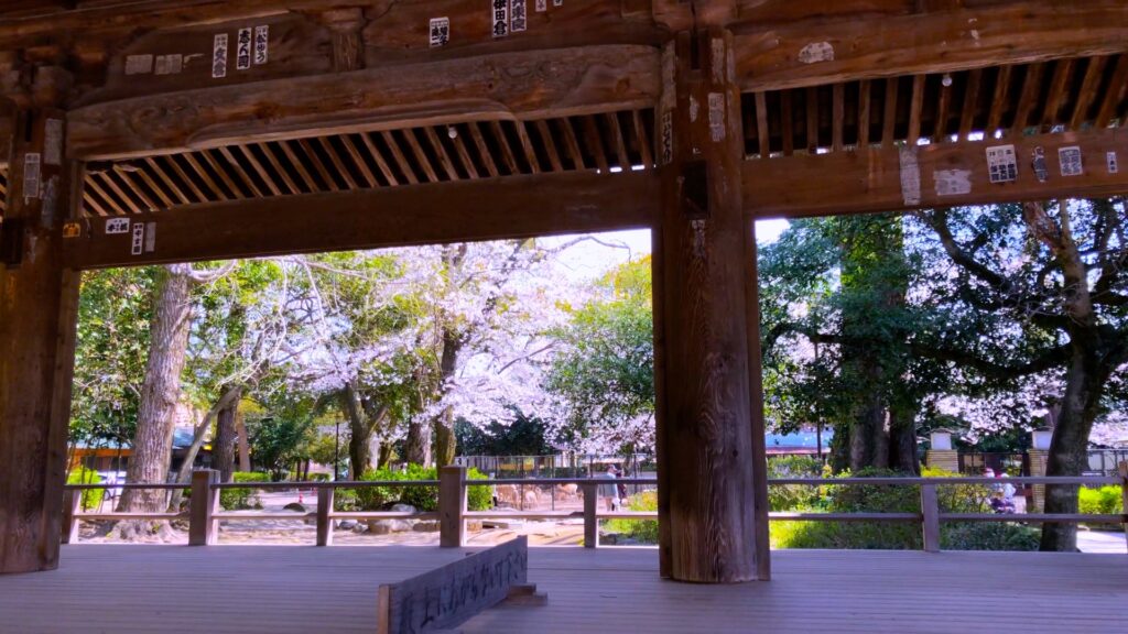 三嶋大社の写真