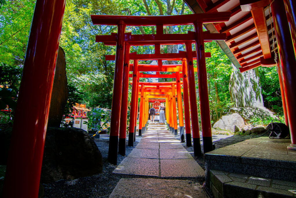 来宮神社の緑に囲まれた参道。七五三のお参りにも人気