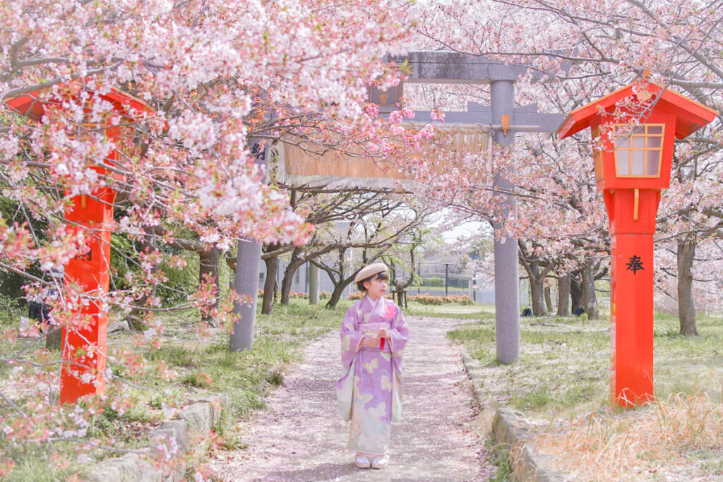 春の七五三で桜を背景にした記念写真