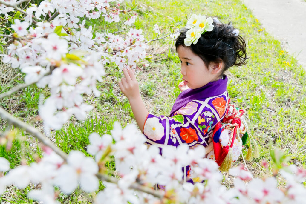 桜の下での着物姿が春らしい一枚