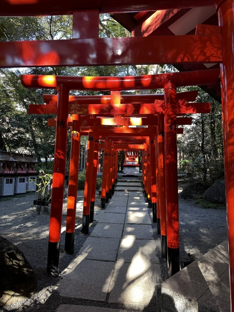 熱海来宮神社の鳥居