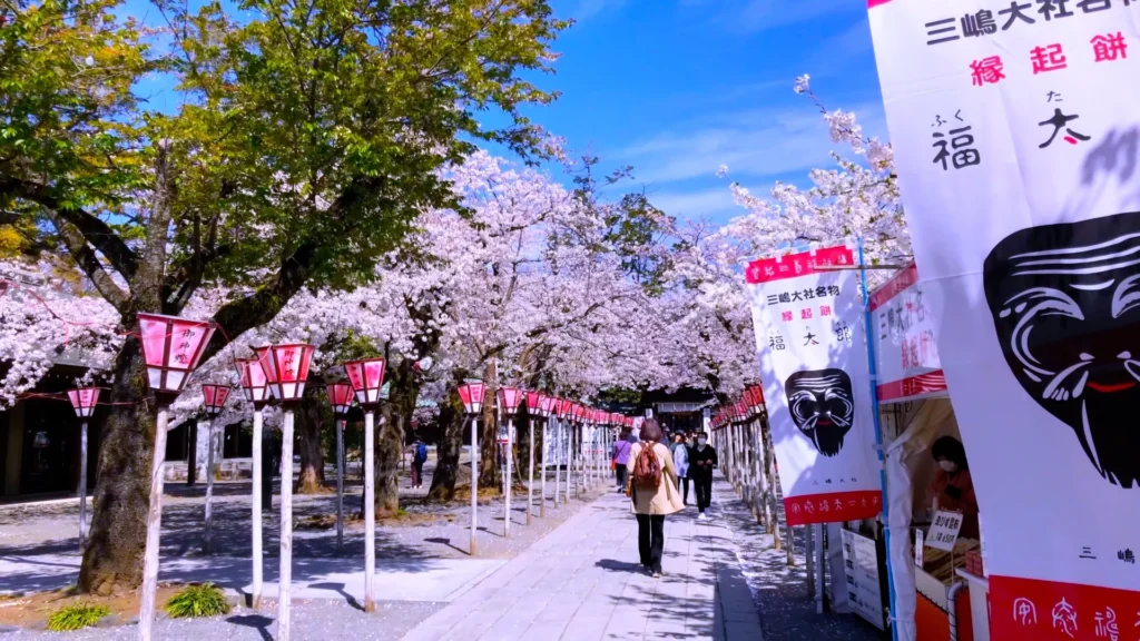 桜が咲く神社の参道