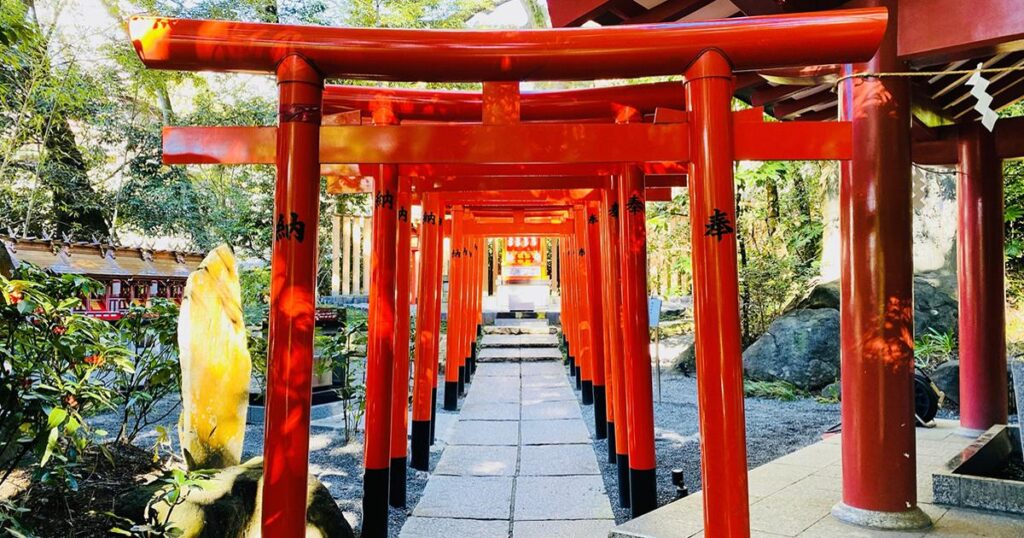 来宮神社の参道のイメージ