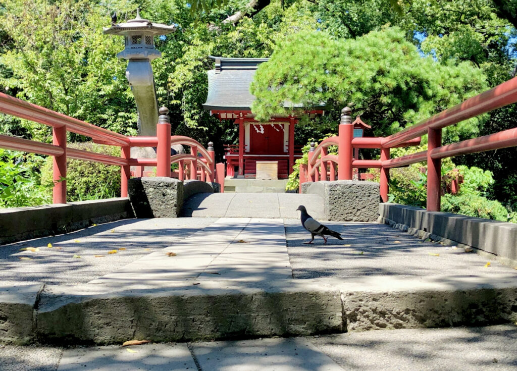 三嶋大社の橋スポット